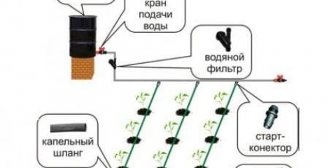 Kako napraviti navodnjavanje kap po kap vlastitim rukama + video